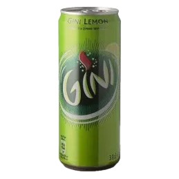 GINI BLIK 24x33cl
